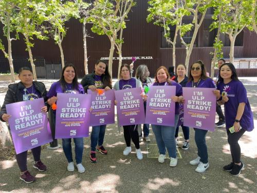 WhatsApp-Image-2023-06-13-at-1.45.56-PM