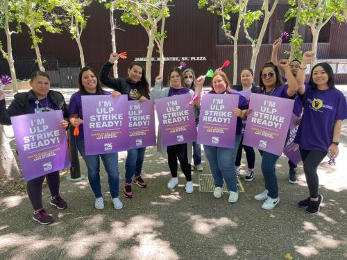 WhatsApp-Image-2023-06-13-at-1.45.57-PM