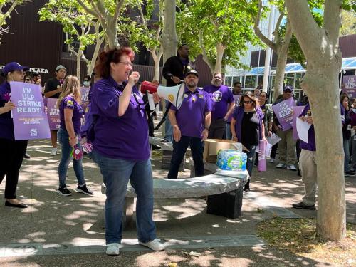 WhatsApp-Image-2023-06-13-at-4.37.45-PM-6